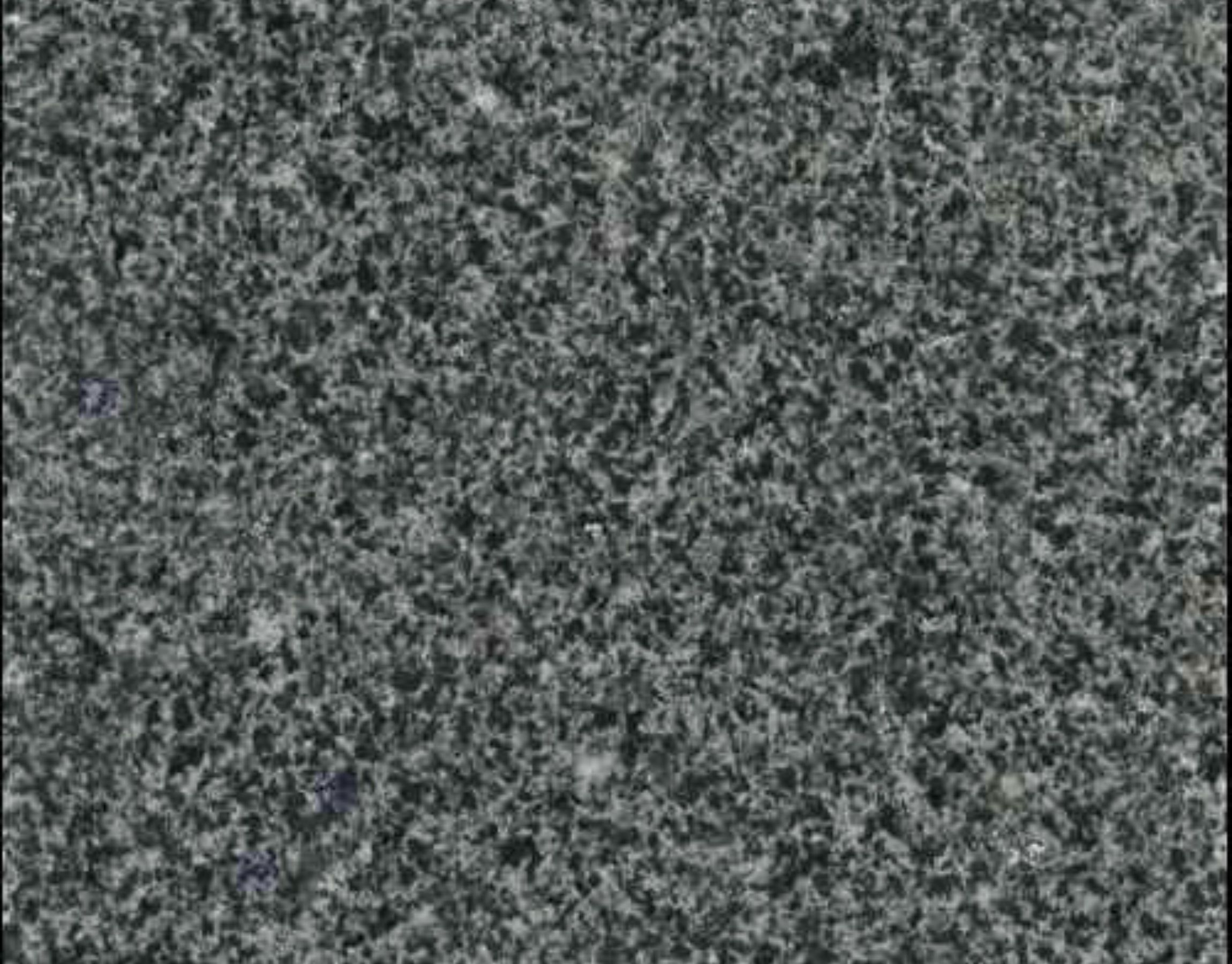 Black Impala Granite